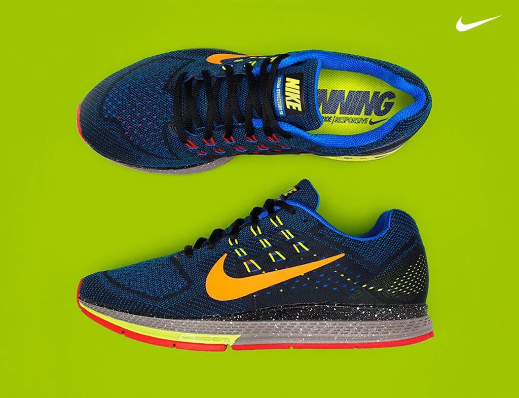 Nike Pegasus 2015.