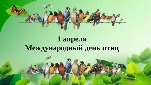 День птиц 2023 году