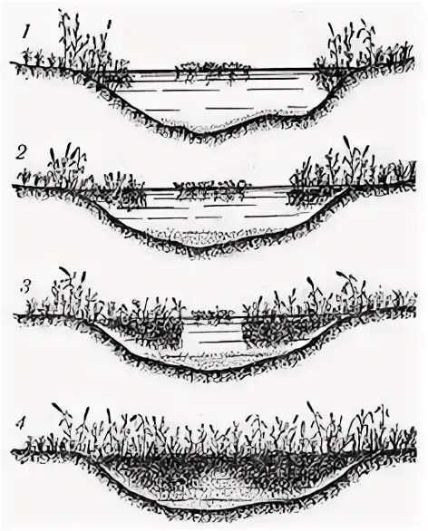 Этап болото. Низинные (эвтрофные) болота схема. Схема зарастания водоема. Зарастание пруда сукцессия. Мезотрофные болота схема.
