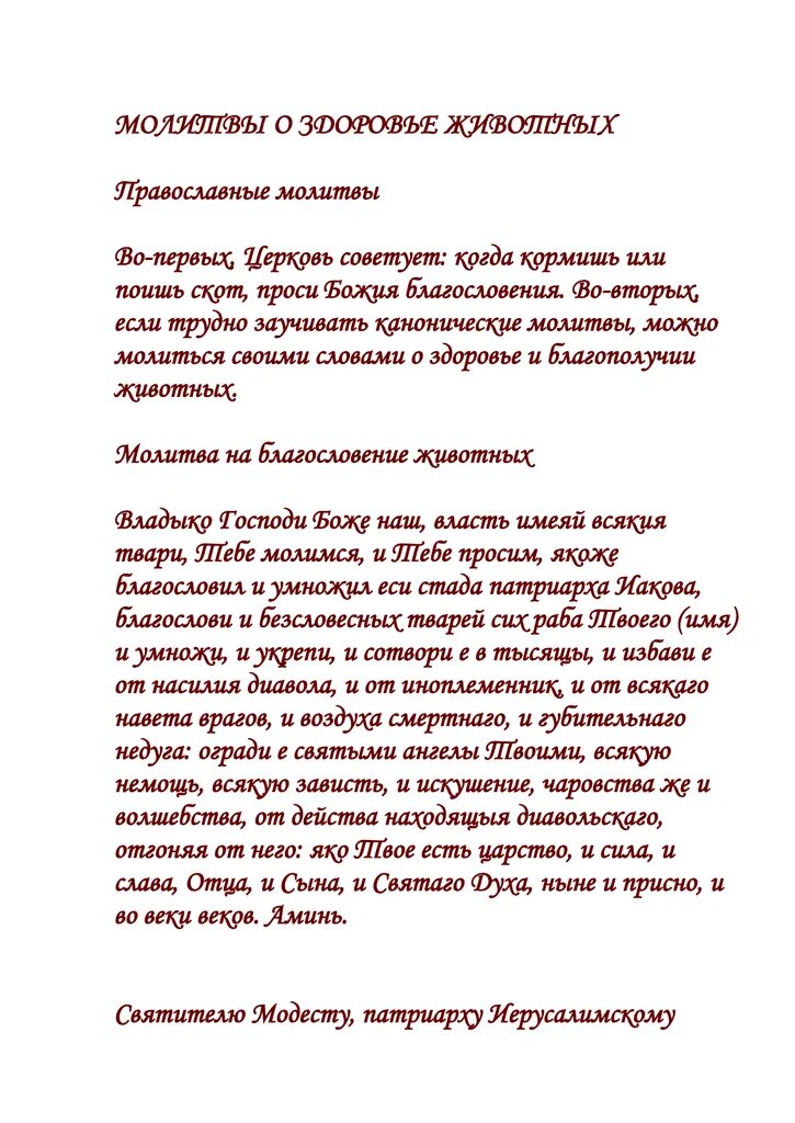 Молитва о выздоровлении животных. Молитва за здоровье животных. Молитва на здоровье животного. Молитвы о животных больных.