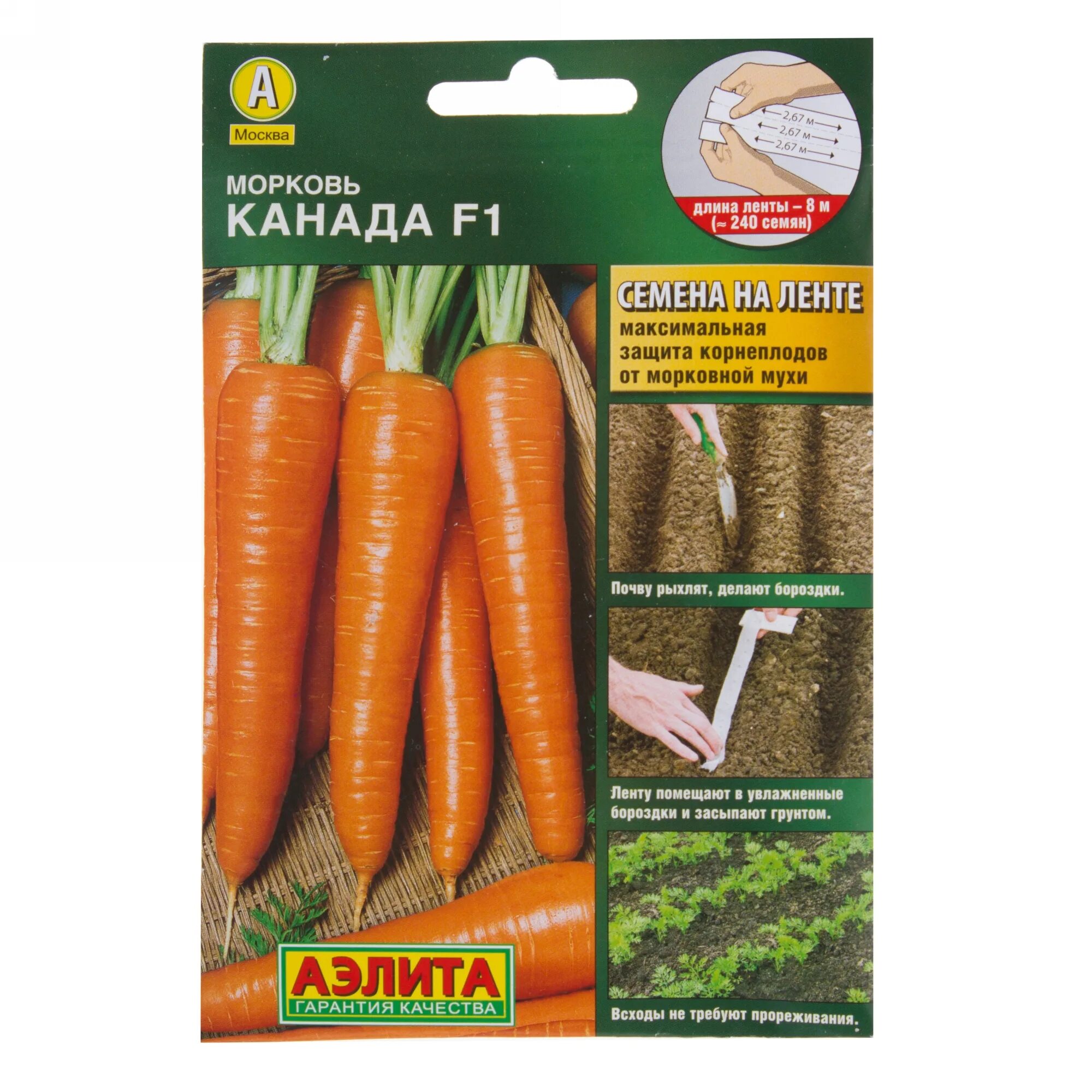 Семена моркови канада. 80 руб. Морковь канада f1. Морковь канада f1. Морковь канада f1.