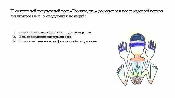 Гомункулус интерпретация. Гомункулус интерпретация