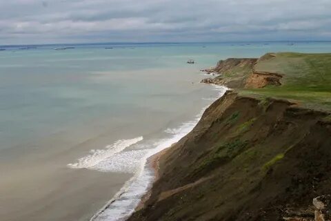 Море в тамани сегодня