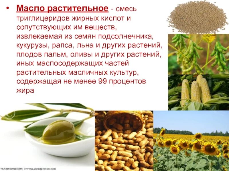 В каких растениях содержится соль. Масличные культуры. Масленичные культуры. Семена масличных культур. Триглицериды растительных масел.