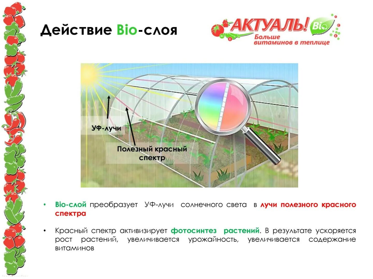 Актуаль био отзывы. Поликарбонат для теплиц Актуаль био. Сотовый поликарбонат Актуаль био. Поликарбонат Актуаль био 4 мм. Сотовый поликарбонат actual 4мм.