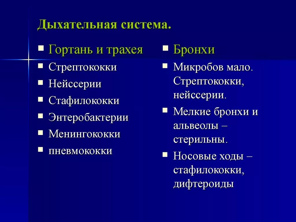 Микрофлора дыхательных путей человека. Микрофлора дыхательных путей. нормальная микрофлора дыхательных путей человека. микрофлора дыхательной системы человека. микробиота дыхательной системы.