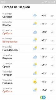 Погода пушкин на сегодня по часам подробно