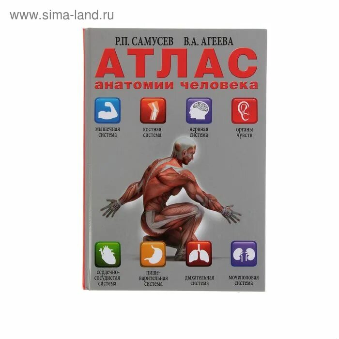 Гематология атлас. Морфологическая диагностика. Гематология клиническая лабораторная диагностика. Гематология книга. Луговская атласы.