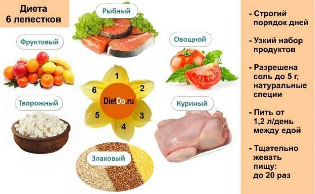 Диета лепесток 7 дней меню на каждый. Диета 6 лепестков меню. Диета шесть лепестков меню на каждый. Диета 6 лепестков меню на каждый день. На 6 лепестках можно