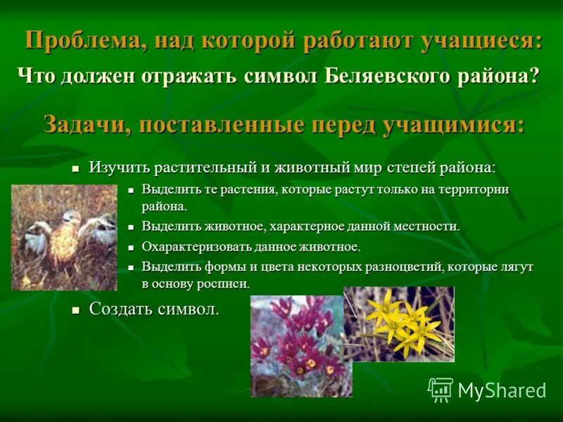 Область биологии изучающая растения