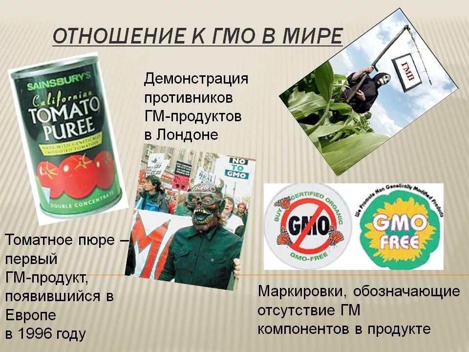 Гмо в мире. Гмо продукты. продукты без гмо. первый гмо продукт. запрет гмо.