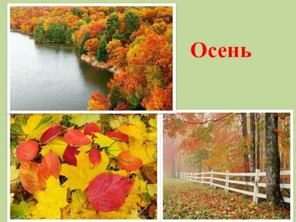 Жизнь растений осенью 2 класс презентация