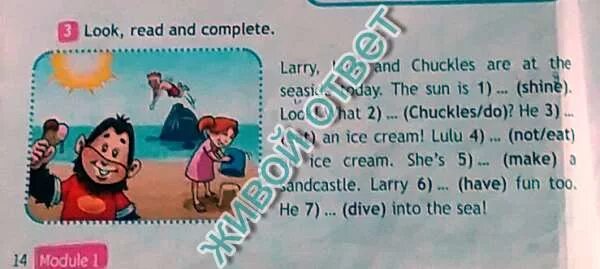 How is chuckles. Larry lulu and chuckles are at the seaside today. larry lulu and chuckles. ларри и лулу английский 2 класс чаклс. how old is chuckles ответ.