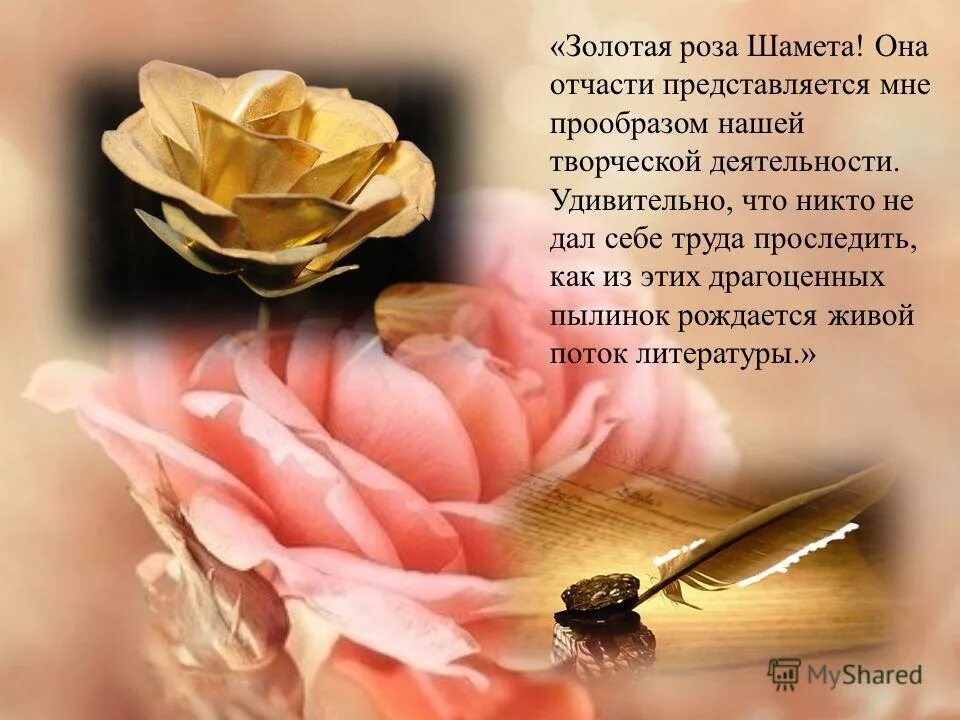 тишина в трубке. стих про кубань. стих про я. я люблю врагов хотя не по-христиански. я кричу но меня не слышат.