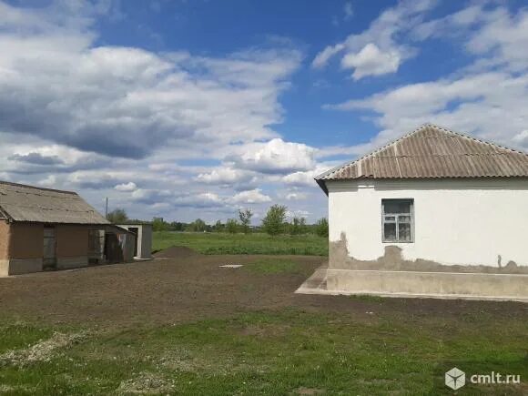 Село большая Верейка. Большая Верейка Воронежская область. Б Верейка Рамонского района.