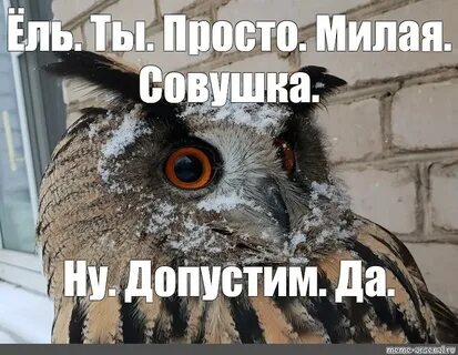 Ели ели мем