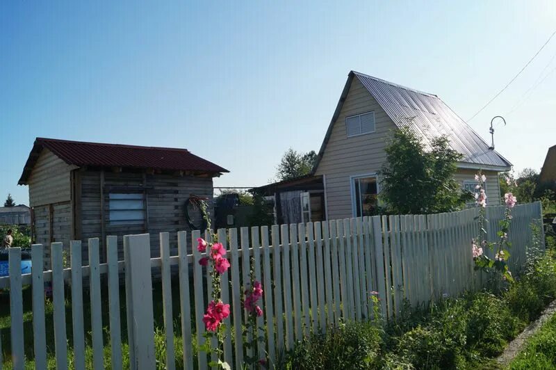 Дачи в Павино Новосибирская область. Садовое общество звезда в городе Обь. СНТ кварц г.Обь. СНТ геофизик Новокузнецк.