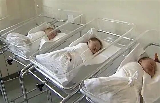 Родильный дом 5 ростов-на-дону. Цгб ростов родильное отделение. Гб № 1 им. Боз 2 бийск поликлиника. 2 областная больница ростов-на-дону роддом.