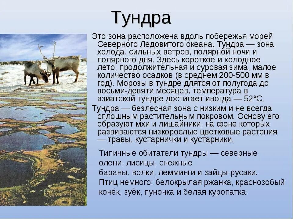 Угадай природную зону по описанию зима