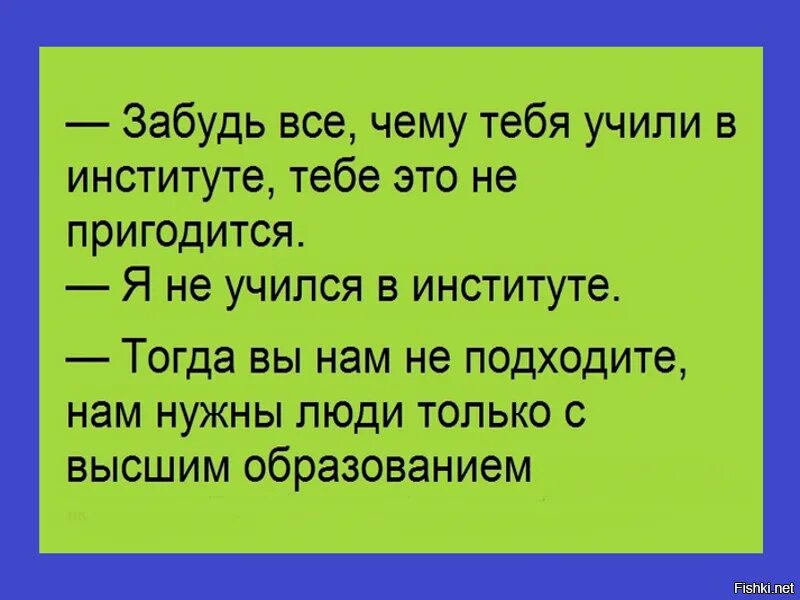 Чему учат в университете ответы детей. Чему учат в университете ответы детей. Чем учат в университете. Для чего нужна школа сегодня. Логика в вузе.