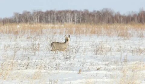 Погода в крутинке на 3