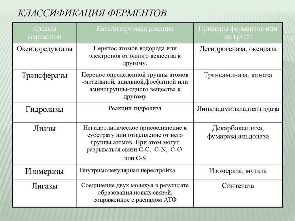 Характеристика ферментов участвующих в. Общая характеристика и классификация ферментов.. Классификация и номенклатура ферментов биохимия. Классификация ферментов по типу катализируемой реакции. Классификация ферментов реакция таблица.