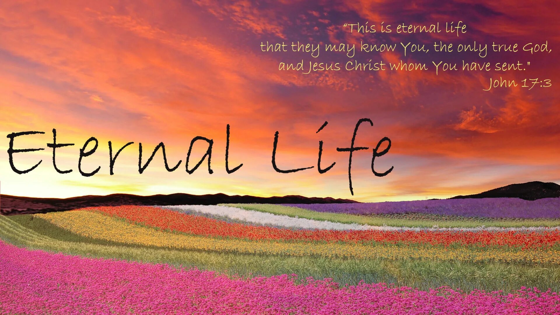 Eternal Life. Jesus is Life. Eternal Life photo. Eternal Life Wallpapers. Only life this only life