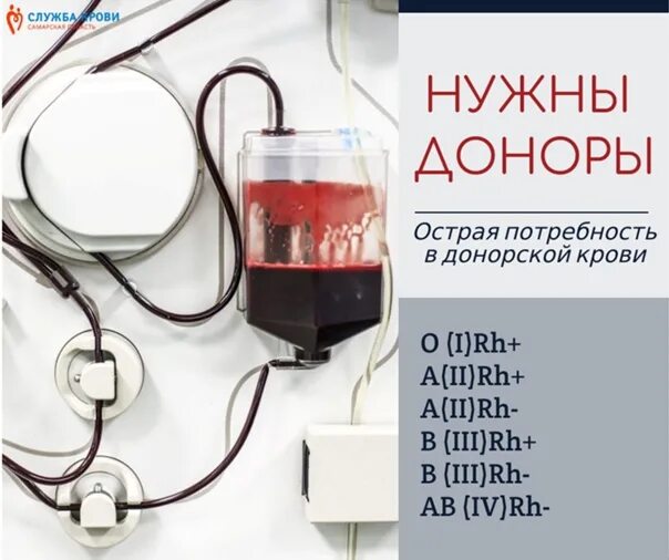 Утро донора. Донор крови. Потребности в донорской крови. Служба донорской крови. Нужны доноры крови.