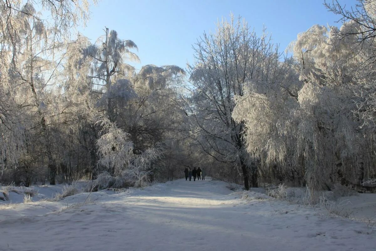 Погода в саратове 6 февраля. Похолодание в Саратовской области. Погода Саратов фото.