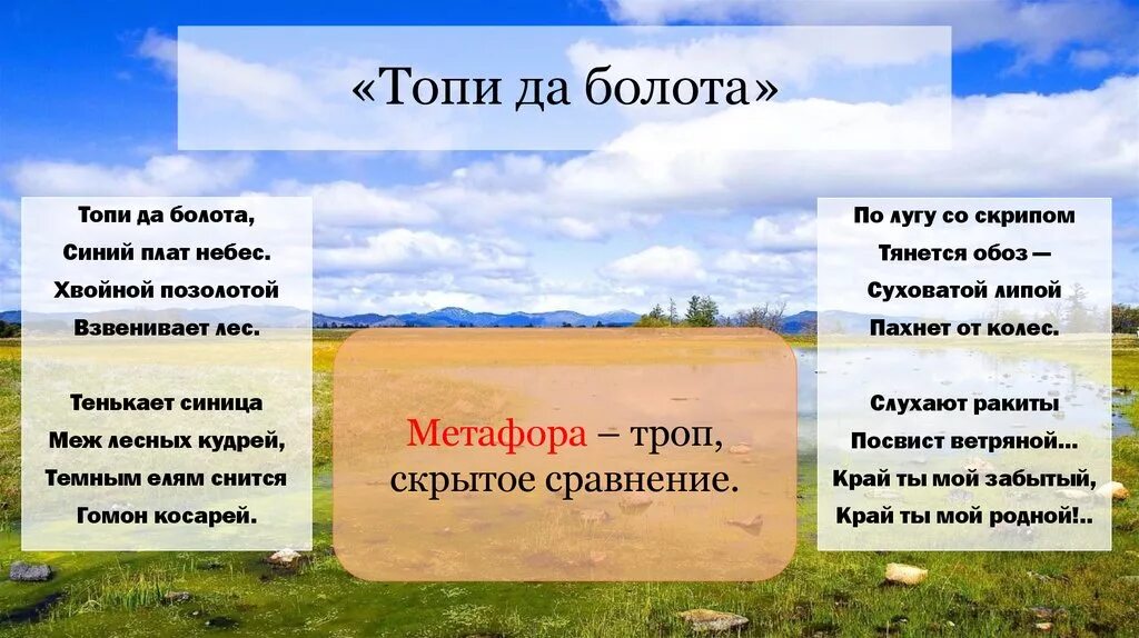 Топи да болота 6 класс. Есенин да болота. Топи да болота синий плат небес Хвойной позолотой Взвенивает лес. Топи да болота. Есенин топи да болота стих.