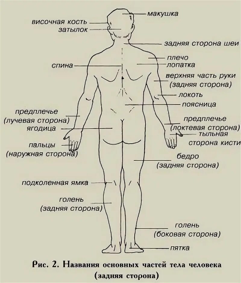 Где в основном