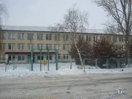 Токио елань волгоградская область