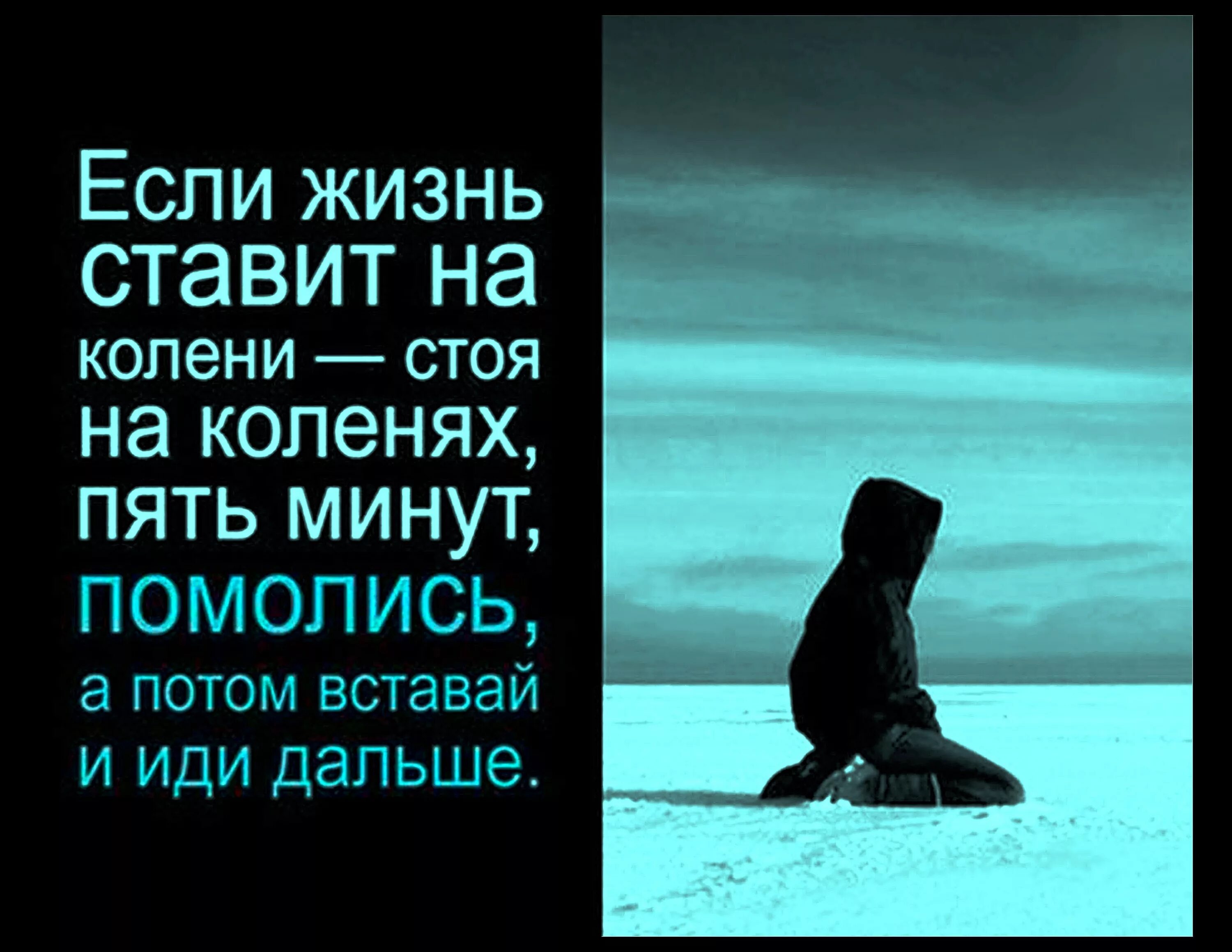 Живу поставим на всю. Если жизнь ставит на колени. Жизнь поставила на колени. Если жизнь поставила тебя на колени. Судьба ставит на колени сильных.