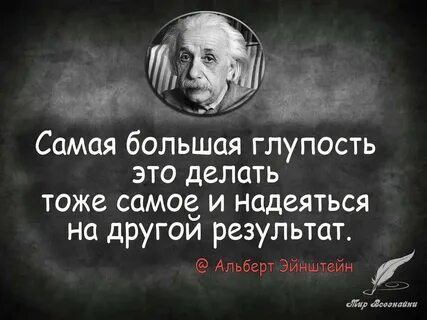 Цитаты это глупо