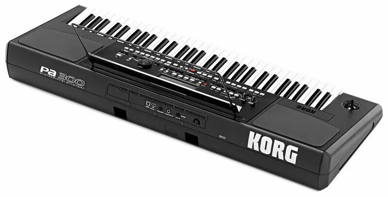 Синтезатор korg pa300. Синтезатор korg pa1000. Синтезатор корг 300. Корг pa 300. Корг па 300.