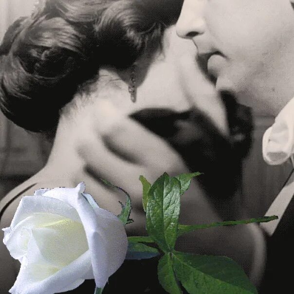 Цветок поцелуй. Мужчина и женщина с белыми розами. Поцелуй розы. Гиф любовь.