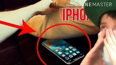 Нашла способ как быстро получить айфон
