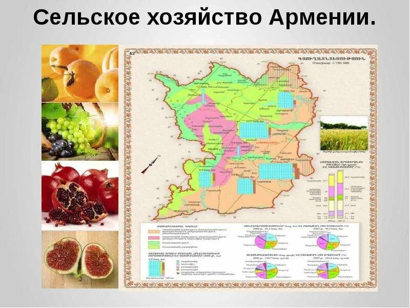 Экономическое развитие армении. Сельское хозяйство армении. промышленность и сельское хозяйство армении. растениеводство армении. хозяйственная деятельность армении.