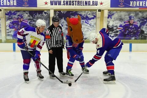 Ска 2010
