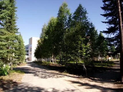 Костомукша телефон