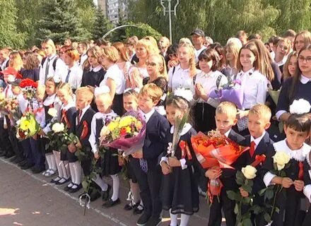 Где 41 школа белгород