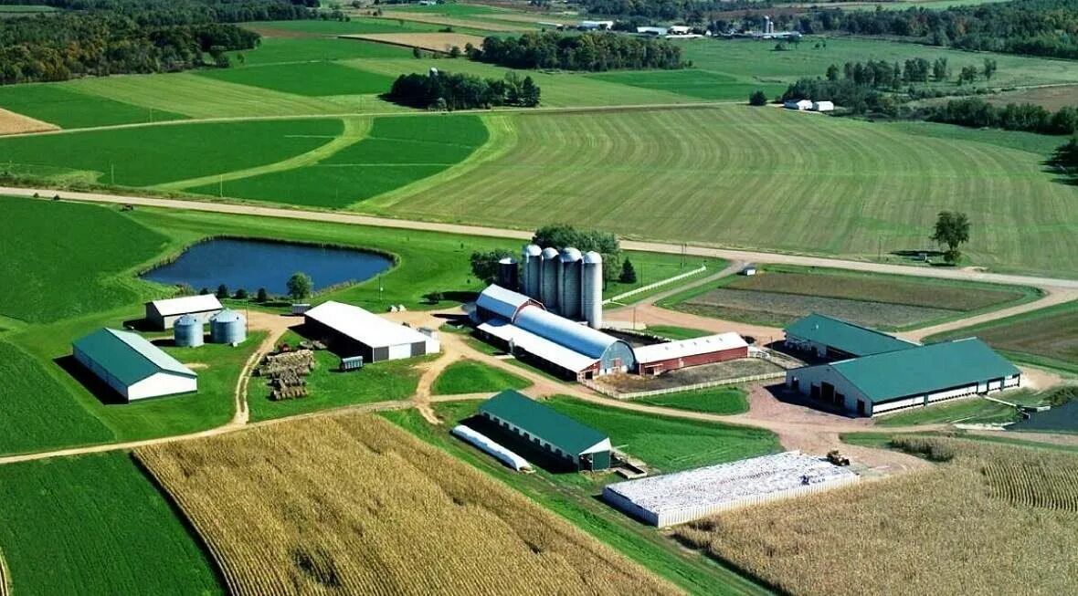 Что такое кфх. Висконсин молочная ферма Америки. Сельскохозяйственная ферма США. Ферма в Висконсине. Сельское хозяйство Германии фермерство.