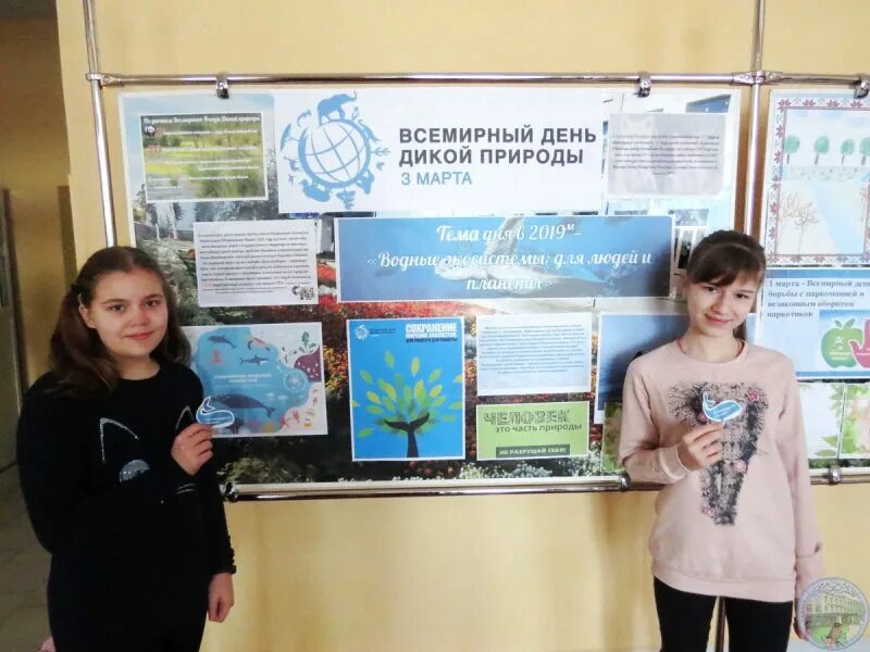 Всемирный день дикой природы мероприятия в школе. Всемирный день дикой природы мероприятия в школе. Всемирный день диких животных. Всемирный день природы. Всемирный день дикой природы надпись.