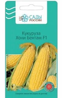 Хони бентам