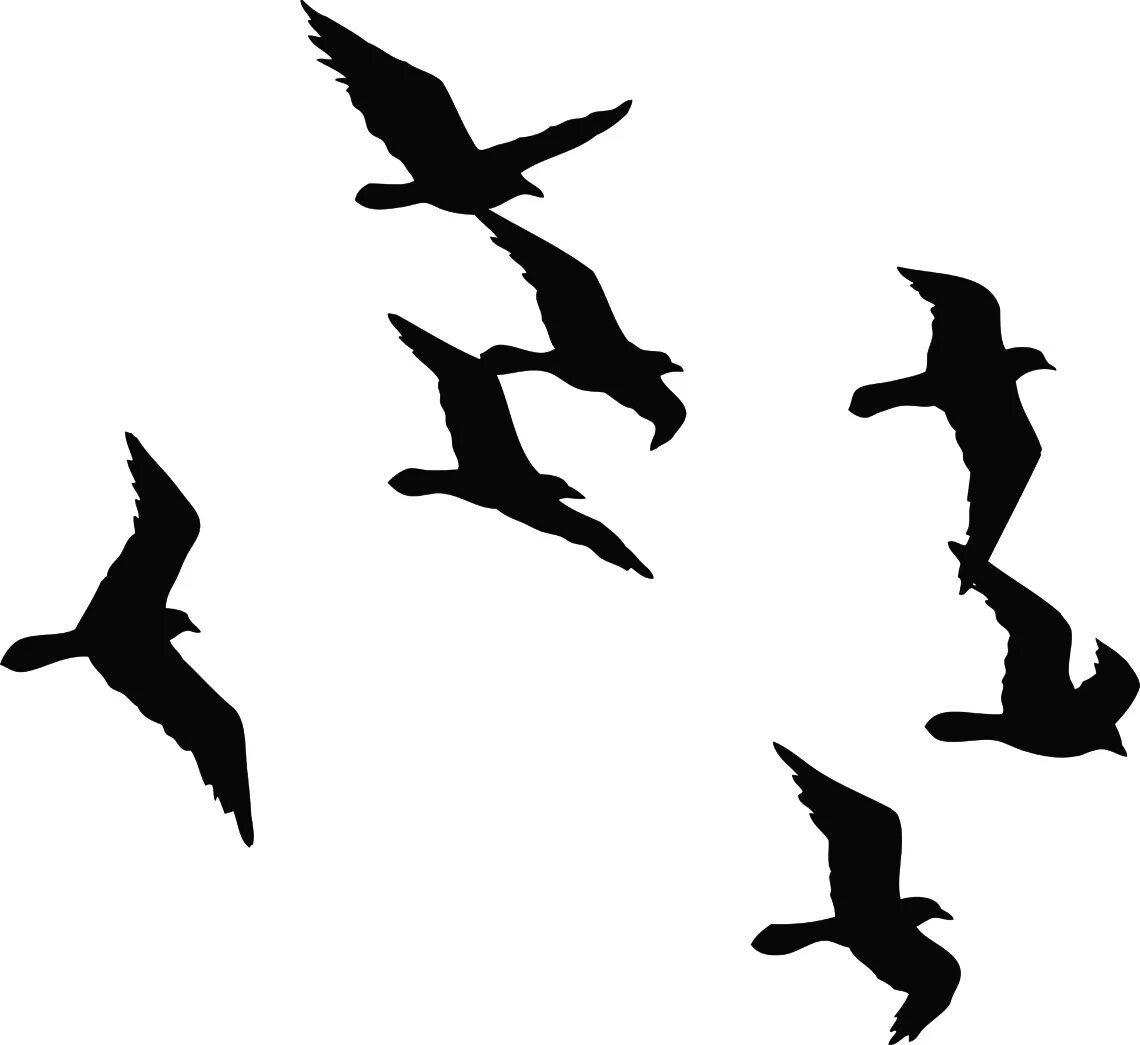 Силуэт летающих птиц. Силуэт птицы. Силуэт летающих птиц. Силуэт птицы в полете. Силуэт летящей птицы.