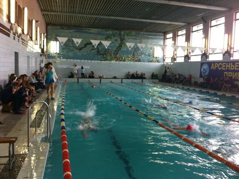 Спорт школа полет арсеньев. Арсеньев приморский край бассейн. Сопка обзорная в арсеньеве. Арсеньев. Полёт арсеньев дюсш.