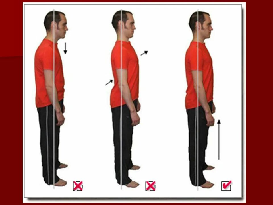 Осанка. Осанка человека сбоку. Правильная осанка вид сбоку. Ровная правильная осанка. Правильная поясница