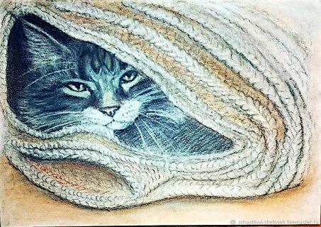 Теплые коты разбор