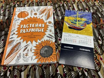 Почему 14 июля считается днем