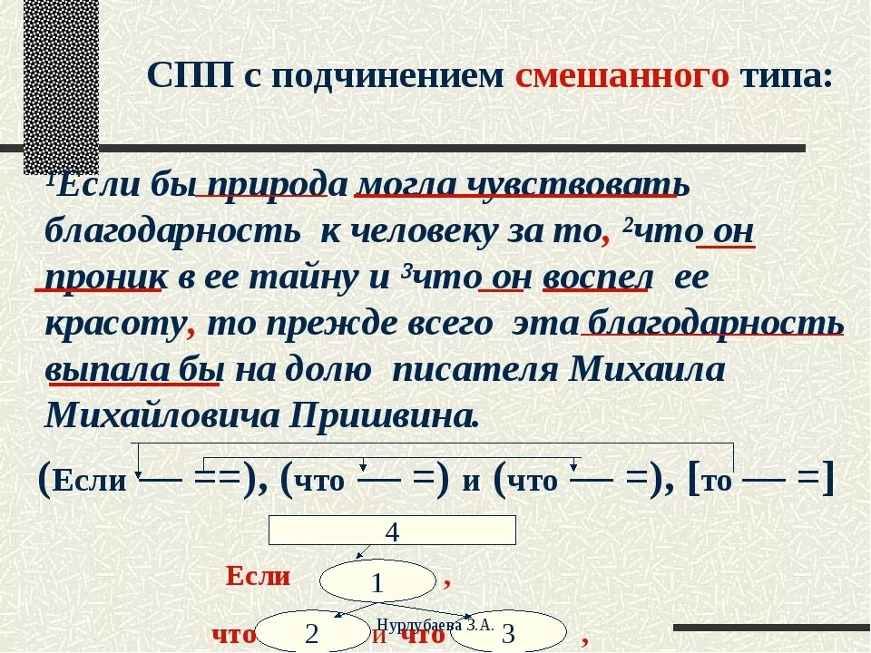 Сколько сложноподчиненных предложений